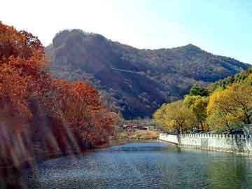 新澳天天开奖资料大全旅游团，龙华汽车站托运